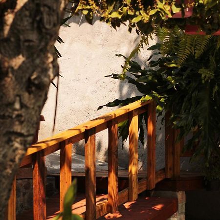 Casa Rustica Villa Atlixco Dış mekan fotoğraf