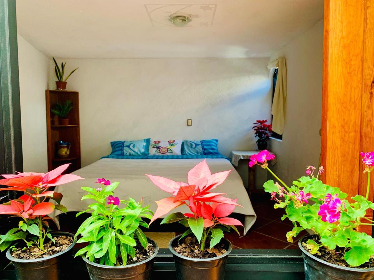 Casa Rustica Villa Atlixco Dış mekan fotoğraf